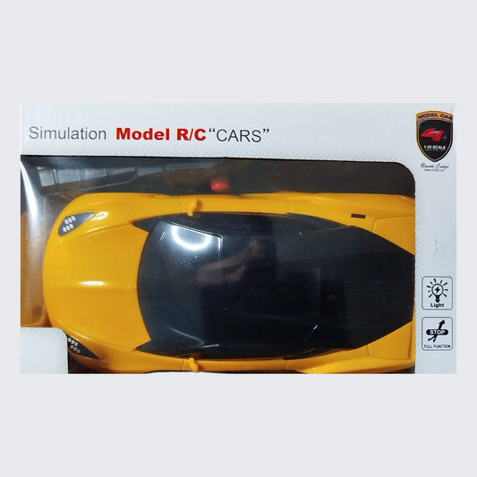 Simulation Remote Control Model Car